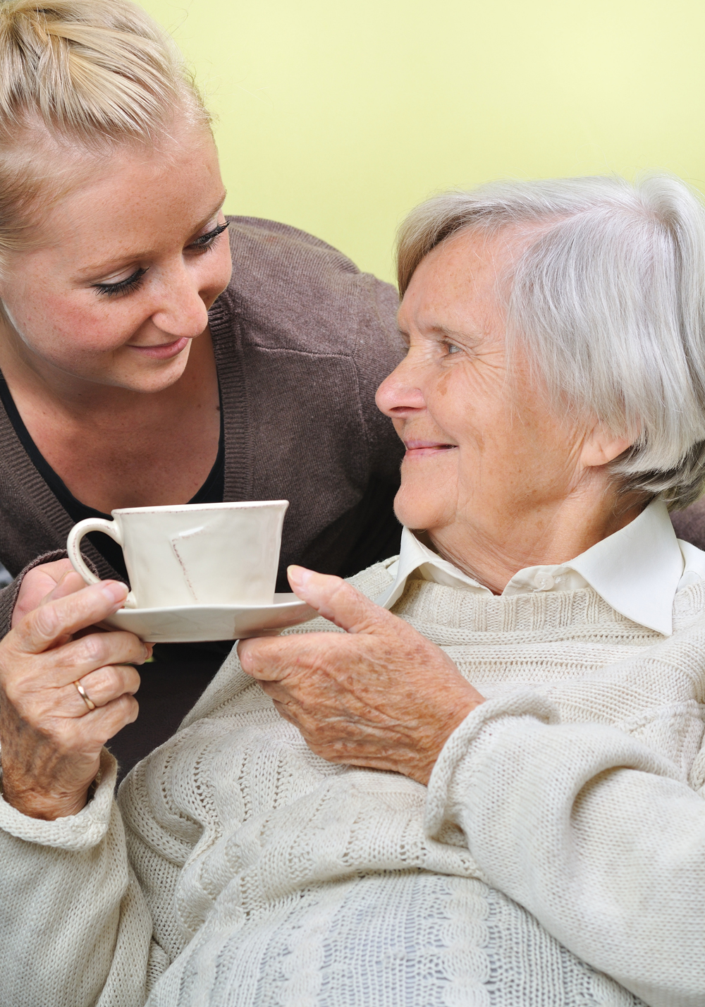 What is the role of nursing home carers