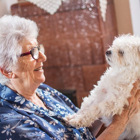 Pet companionship: The benefits of seniors having pets